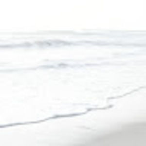 Meet your Posher, Alice